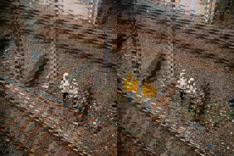 Signal Failure Triggers Widespread Delays on Northern Transit Lines